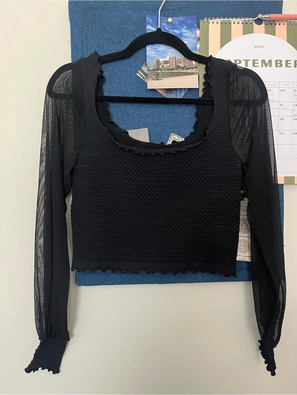 Free People Black Sheer-Sleeve Cropped Knit